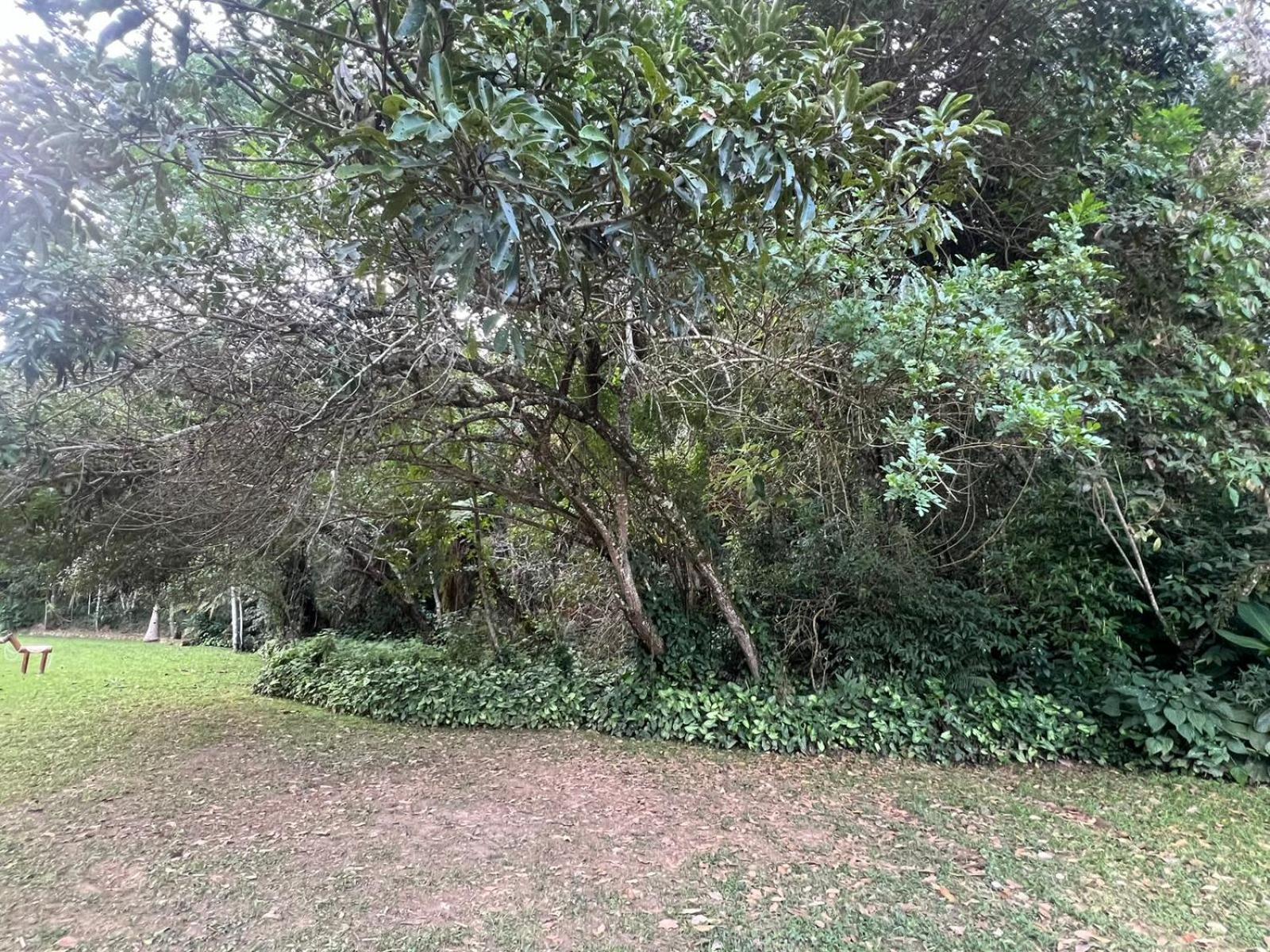 Pousada Candonga Da Serra Tiradentes Extérieur photo